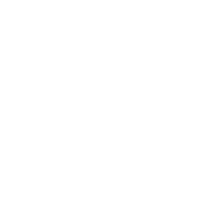 Home 2 icon 1.png