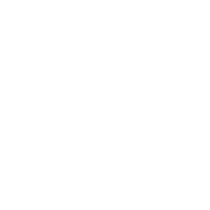 Home 2 icon 2.png