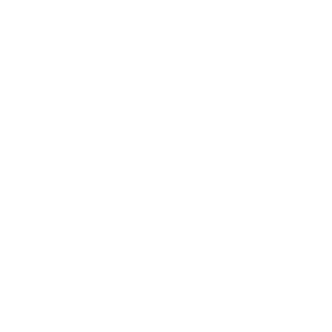 Home 2 icon 3.png